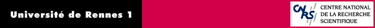 logo Rennes1/CNRS